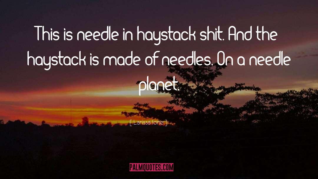 Needle In Haystack quotes by Larissa Ione