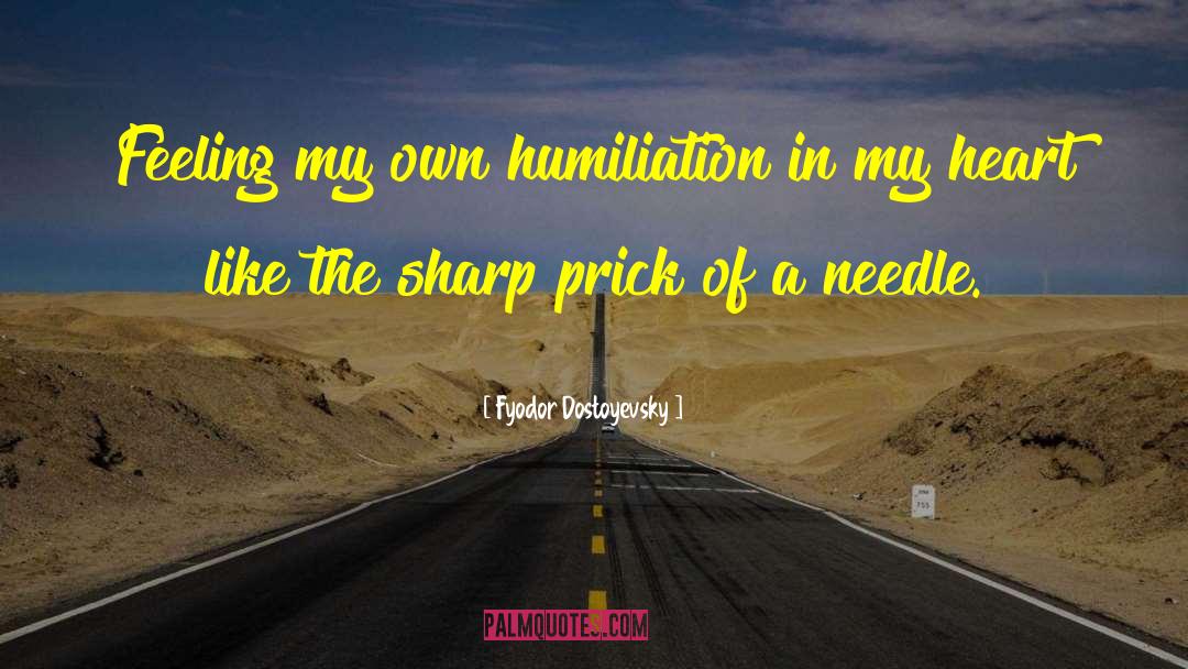 Needle In Haystack quotes by Fyodor Dostoyevsky
