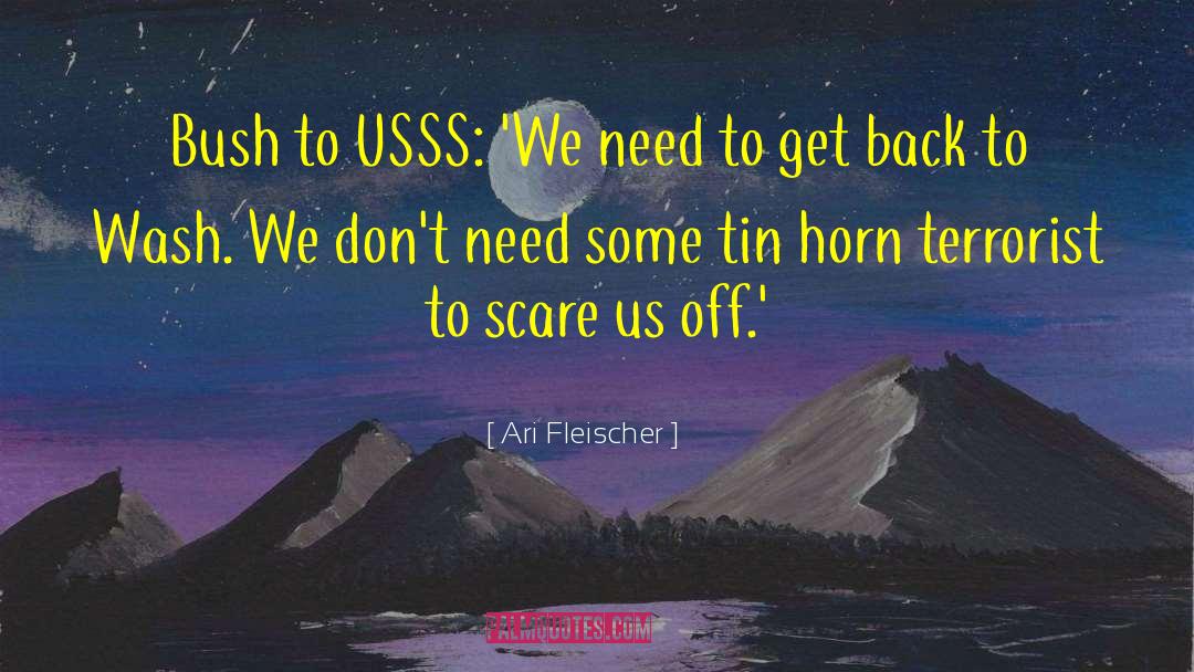 Needs Pyramid quotes by Ari Fleischer