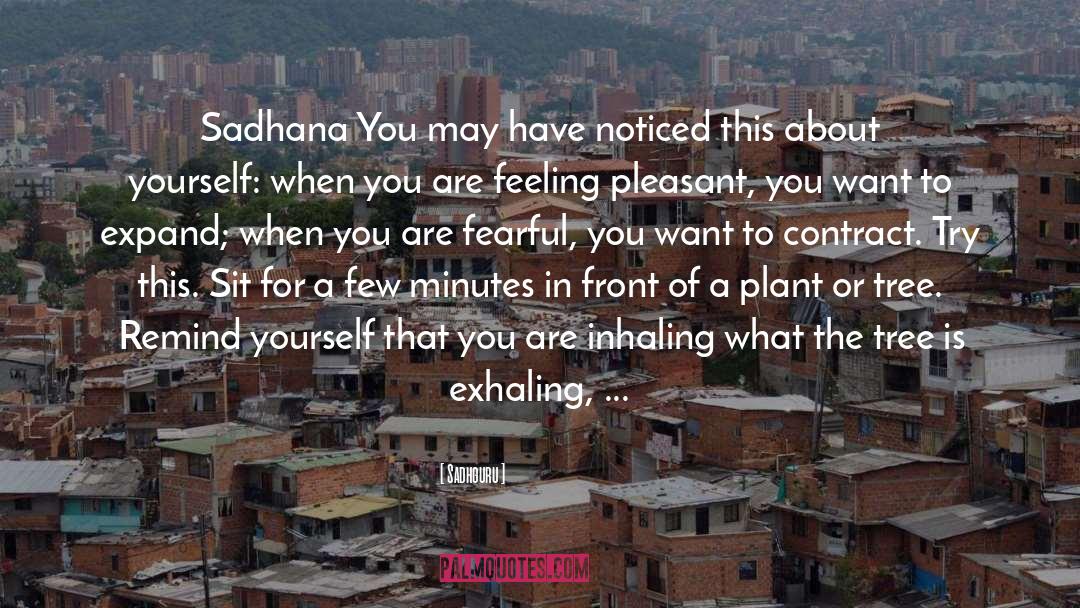 Neelambari Plant quotes by Sadhguru