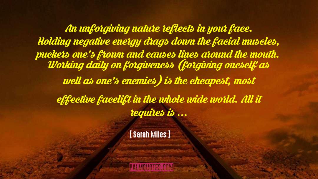 Negative Energy quotes by Sarah Miles