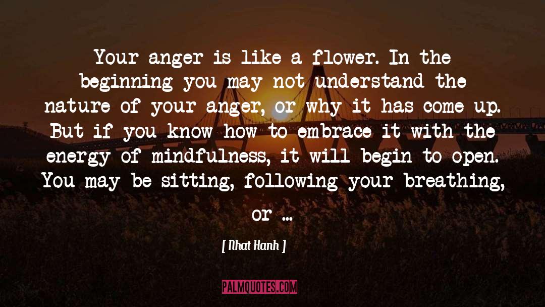 Negative Energy quotes by Nhat Hanh