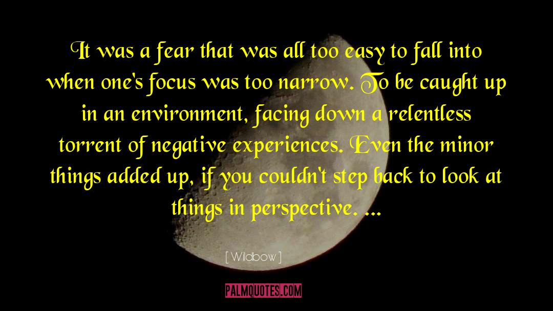 Negative Fear Driven quotes by Wildbow