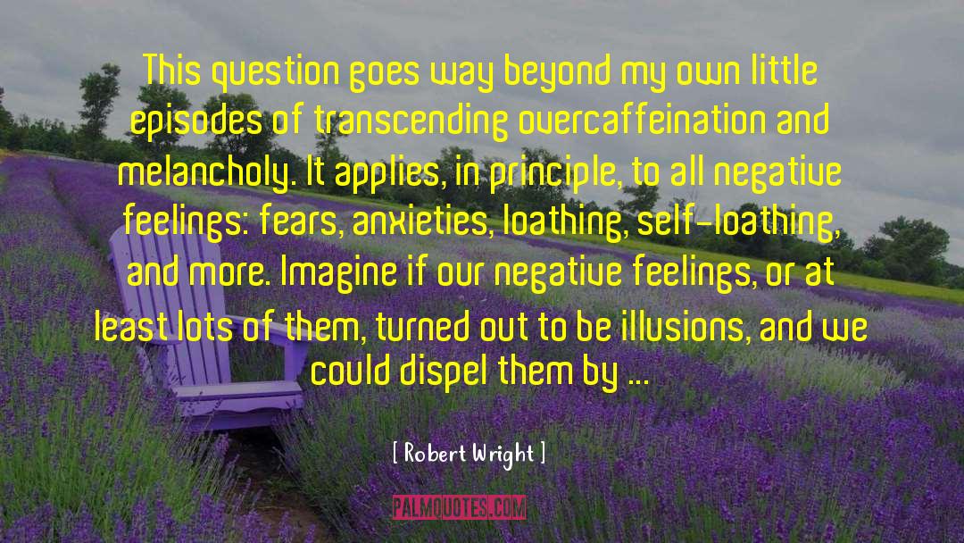 Negative Feelings quotes by Robert Wright