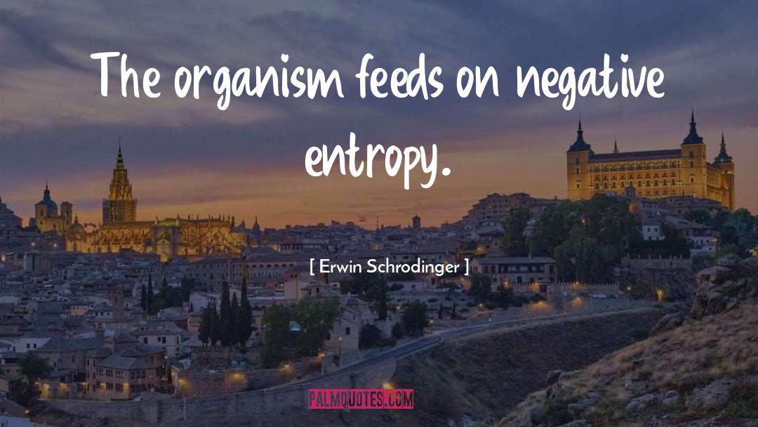 Negative Results quotes by Erwin Schrodinger