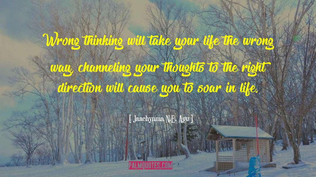 Negative Thought And Attitude quotes by Jaachynma N.E. Agu