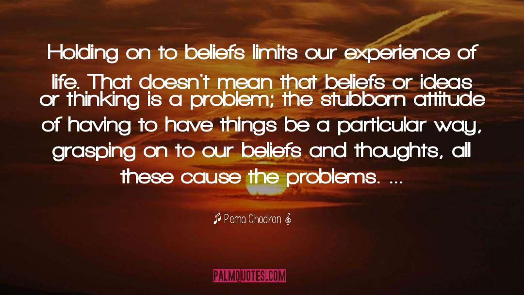 Negative Thoughts And Beliefs quotes by Pema Chodron