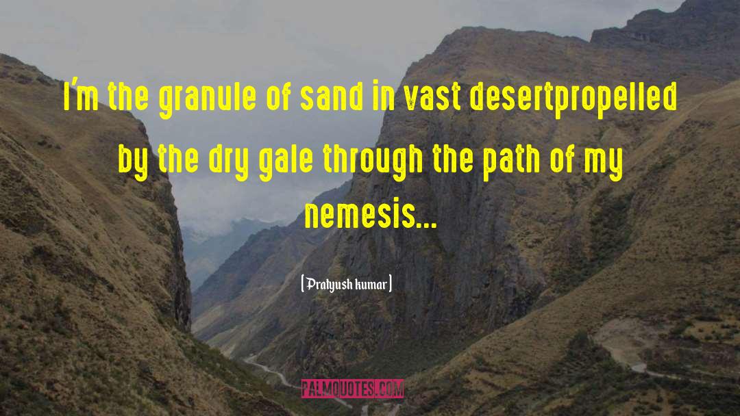 Negev Desert quotes by Pratyush Kumar