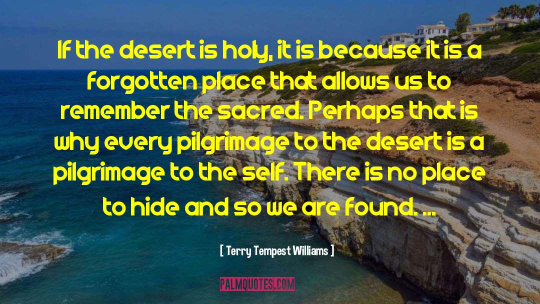 Negev Desert quotes by Terry Tempest Williams