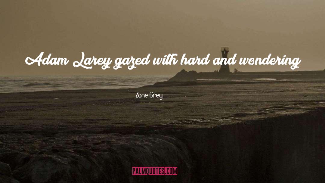 Negev Desert quotes by Zane Grey