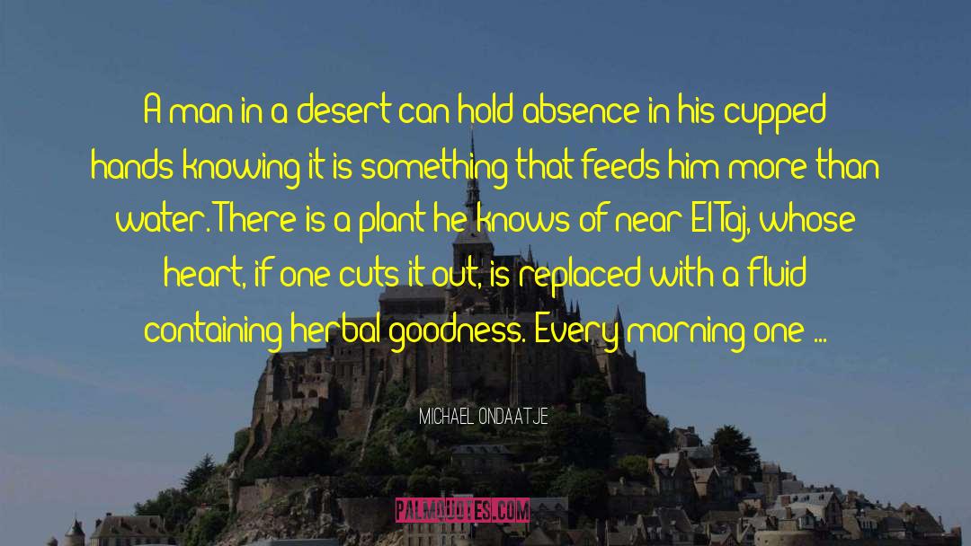 Negev Desert quotes by Michael Ondaatje