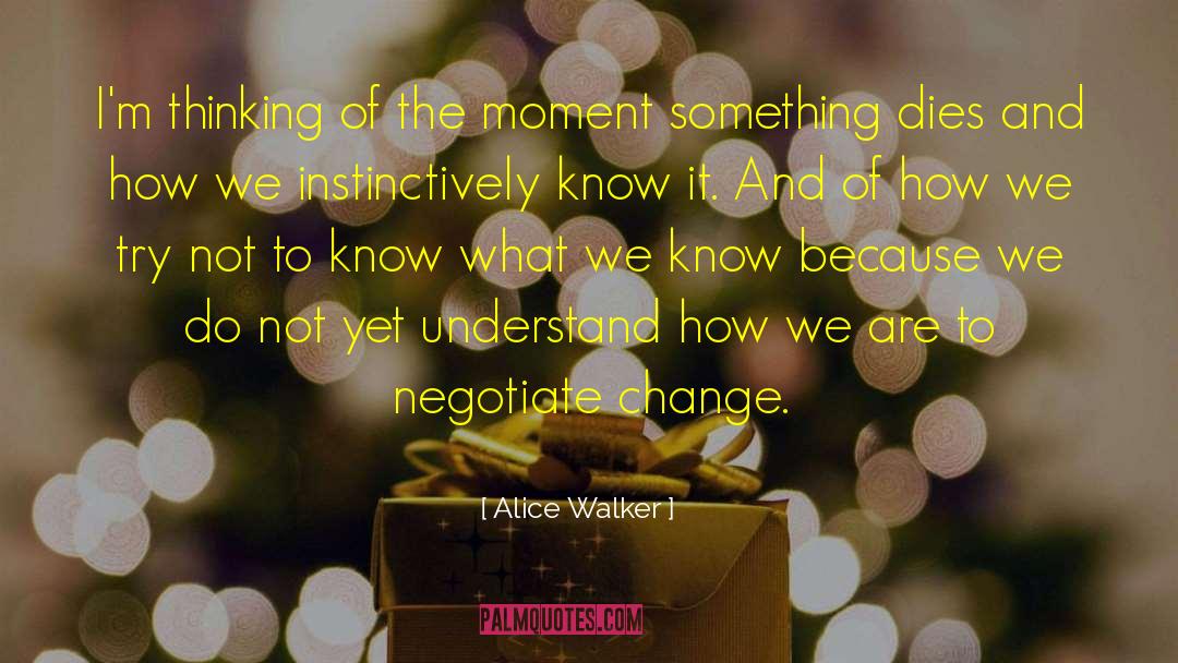 Negotiate Compromiseiation quotes by Alice Walker