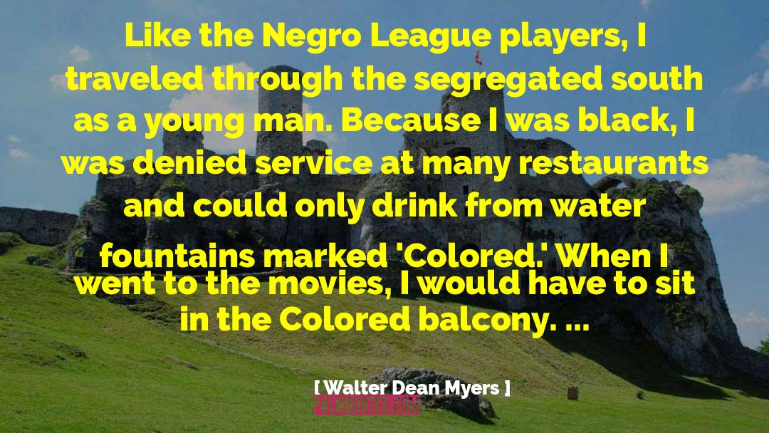 Negro quotes by Walter Dean Myers