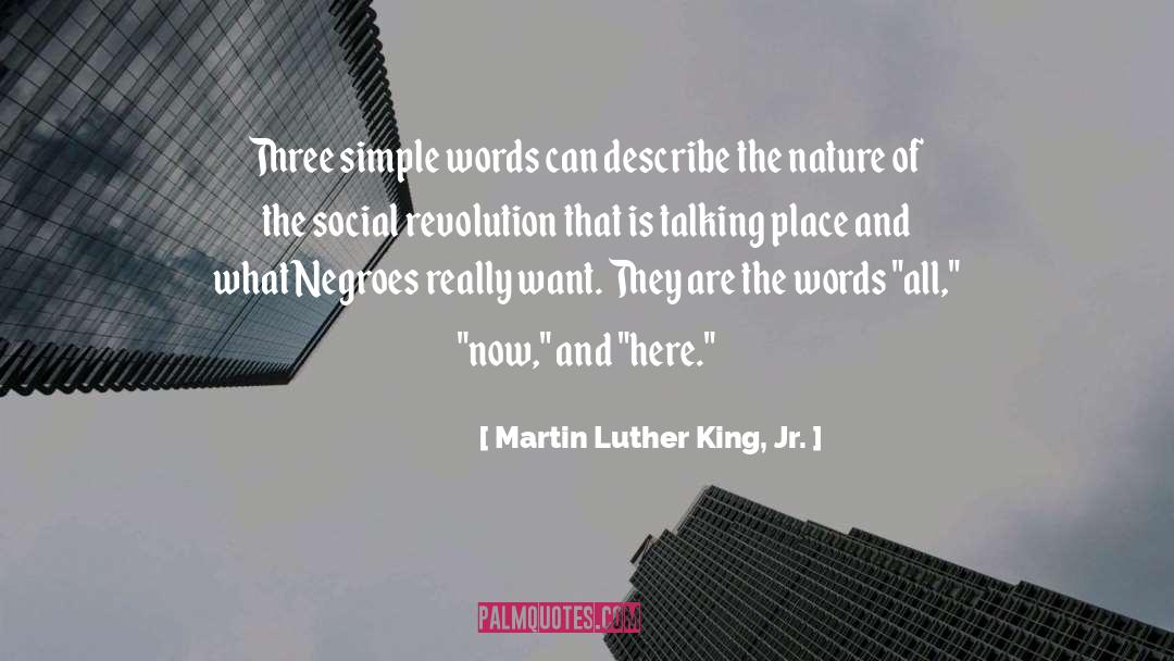 Negroes quotes by Martin Luther King, Jr.