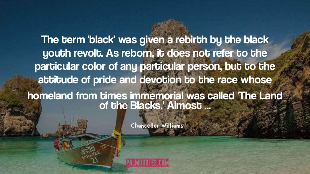 Negroes quotes by Chancellor Williams