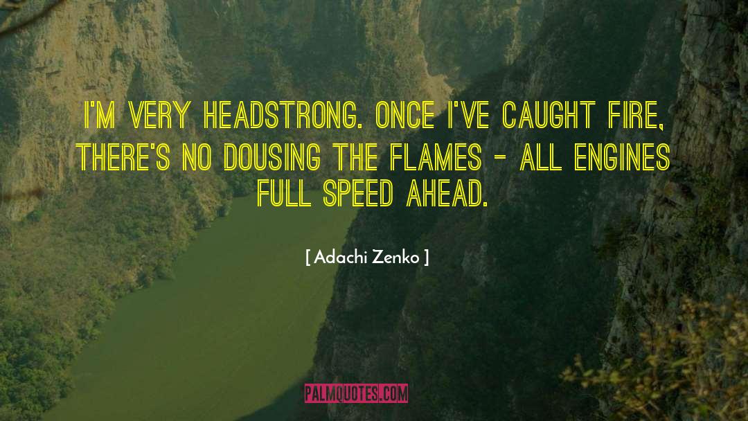 Nehamas Art quotes by Adachi Zenko