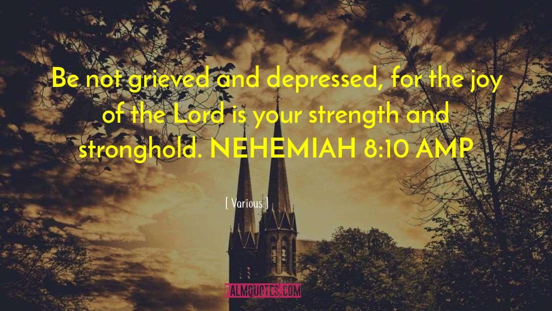 Nehemiah quotes by Various