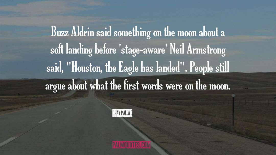Neil Armstrong quotes by Ray Palla