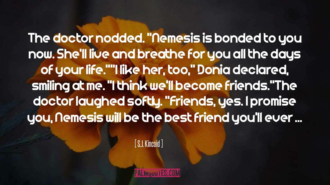 Nemesis quotes by S.J. Kincaid