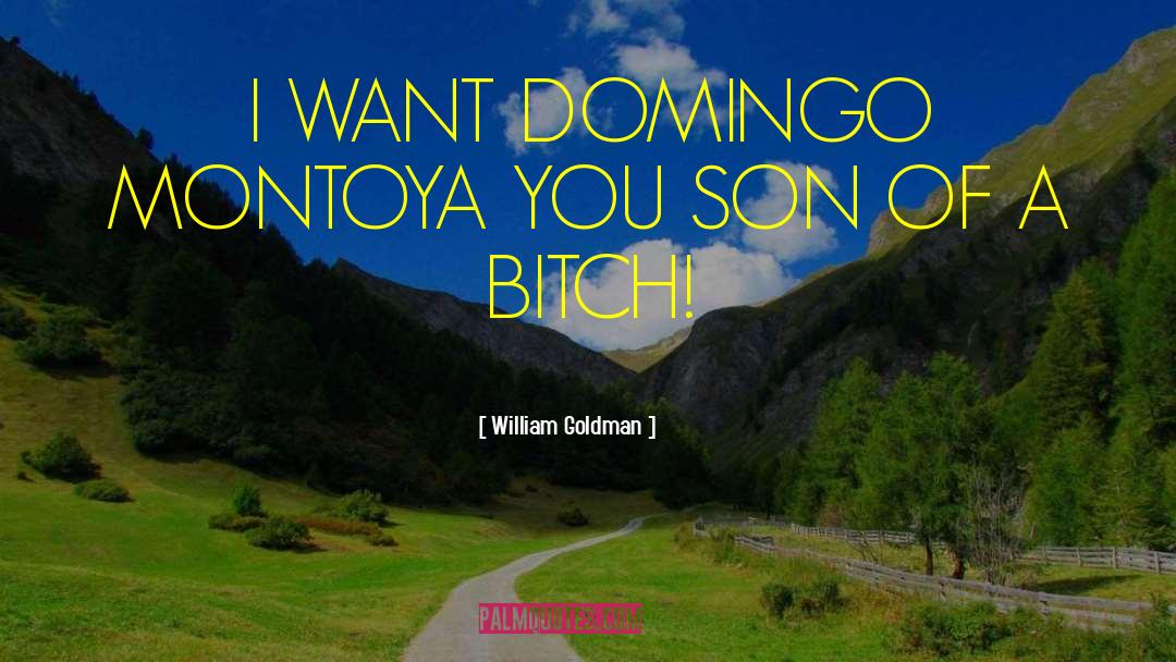Nemi Montoya quotes by William Goldman