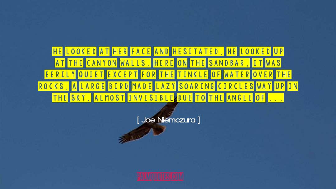 Nepal quotes by Joe Niemczura