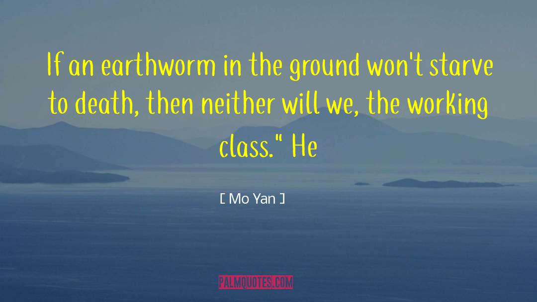 Nephridia Earthworm quotes by Mo Yan