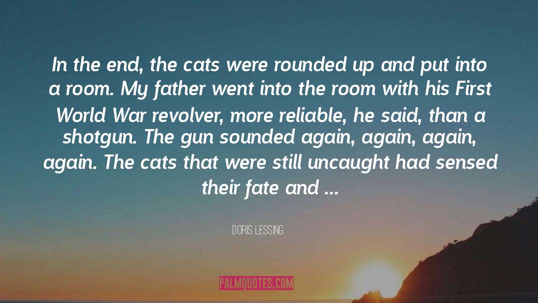 Nerf Gun War quotes by Doris Lessing