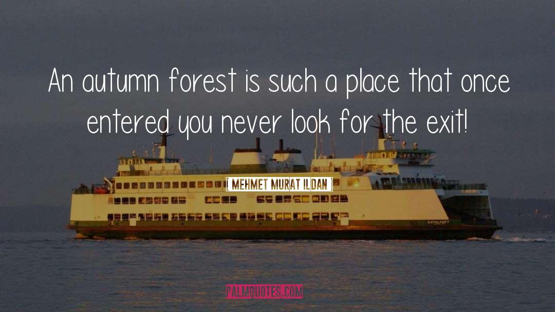 Neroche Forest quotes by Mehmet Murat Ildan