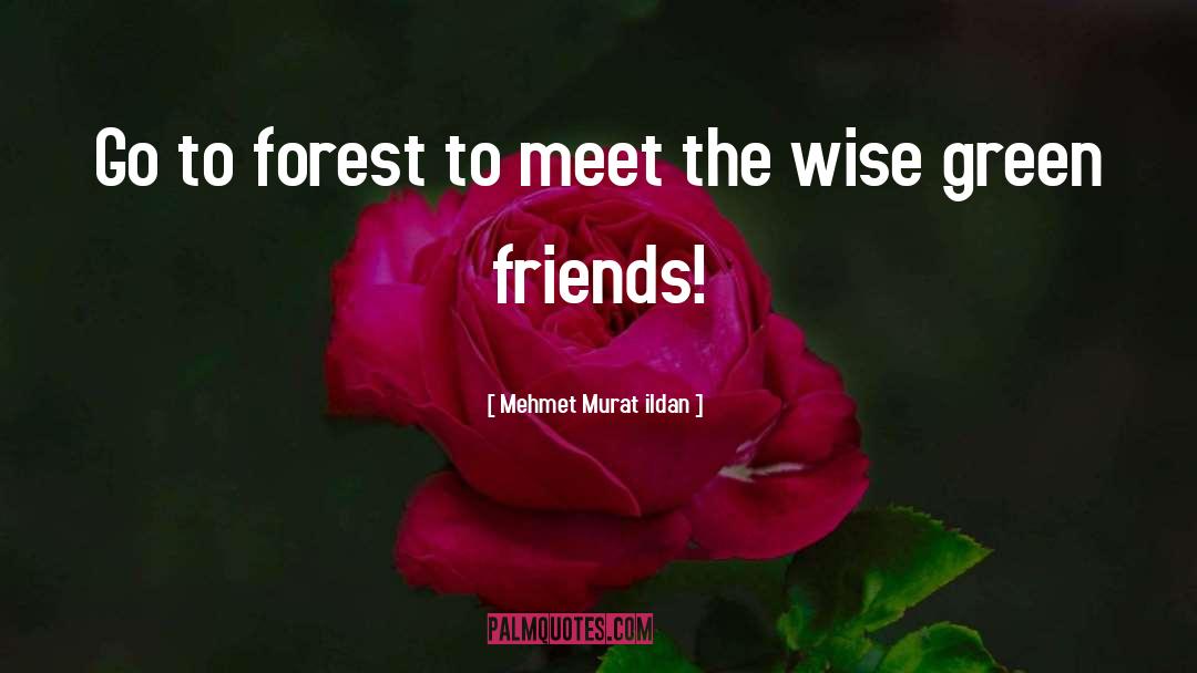 Neroche Forest quotes by Mehmet Murat Ildan