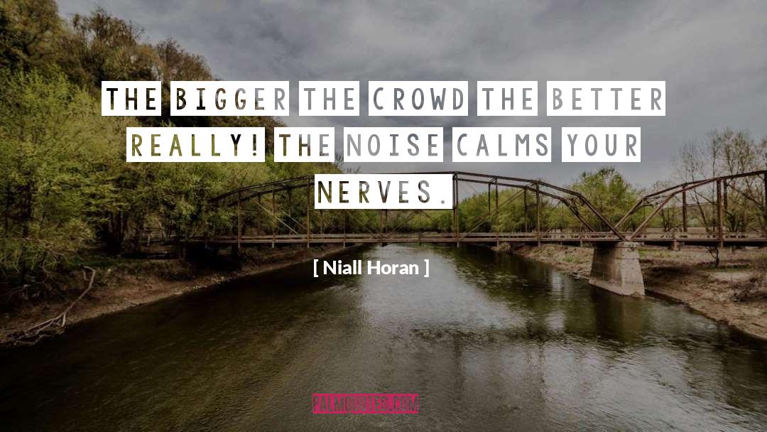 Nerves quotes by Niall Horan