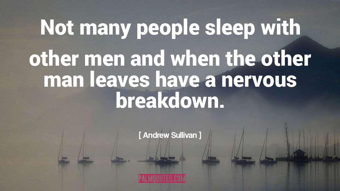 Nervous Breakdown quotes by Andrew Sullivan