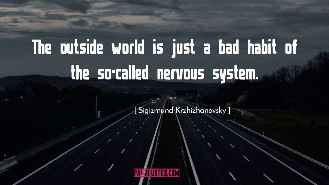 Nervous quotes by Sigizmund Krzhizhanovsky