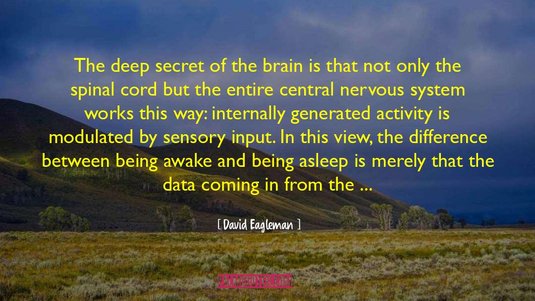 Nervous System quotes by David Eagleman