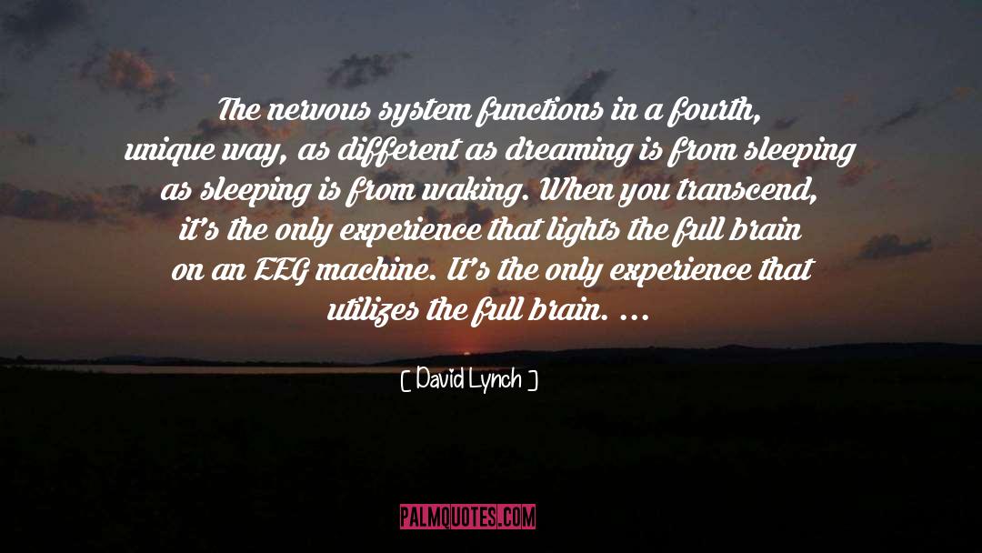 Nervous System quotes by David Lynch