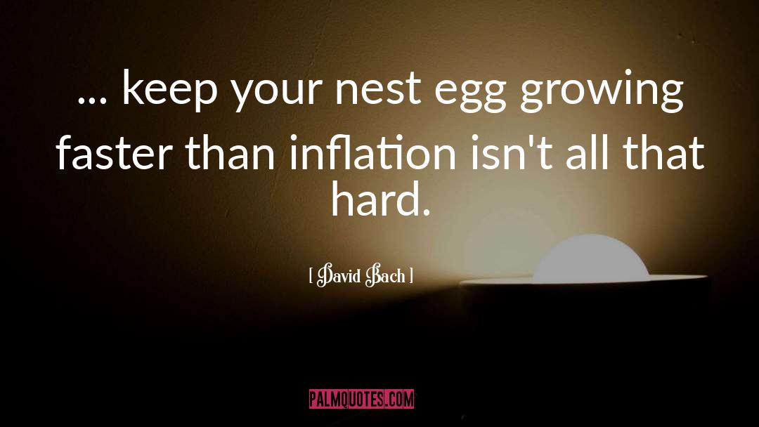 Nest Egg quotes by David Bach