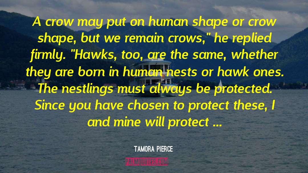 Nestling Crow quotes by Tamora Pierce