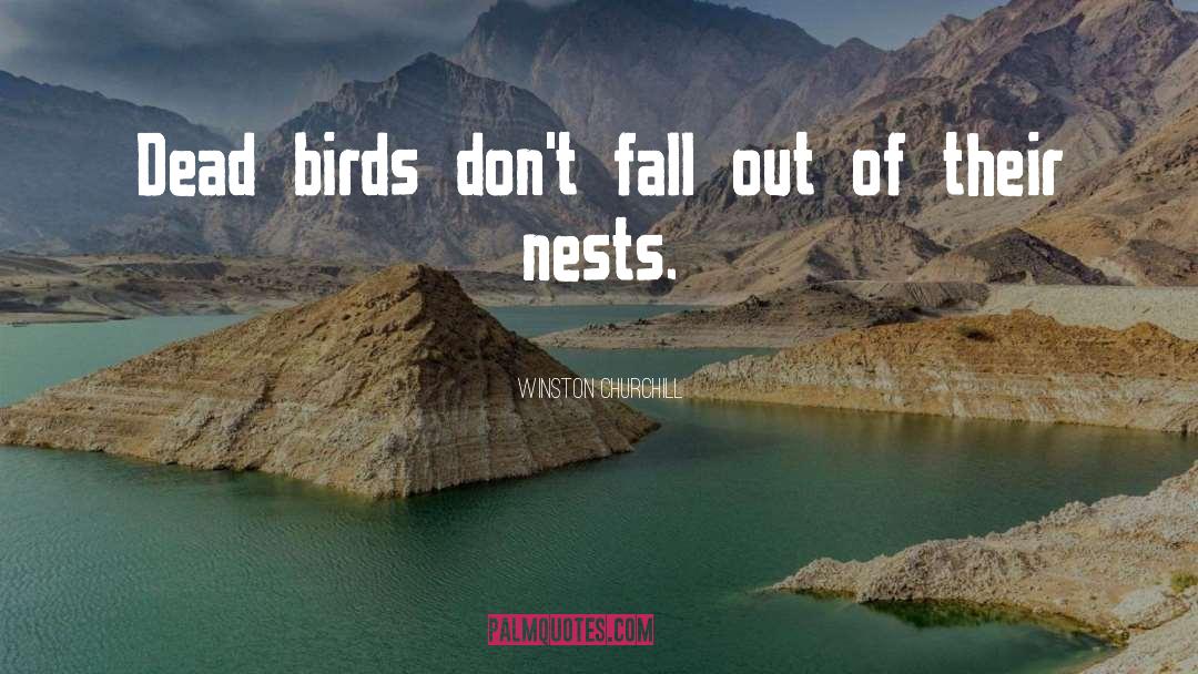 Nests quotes by Winston Churchill