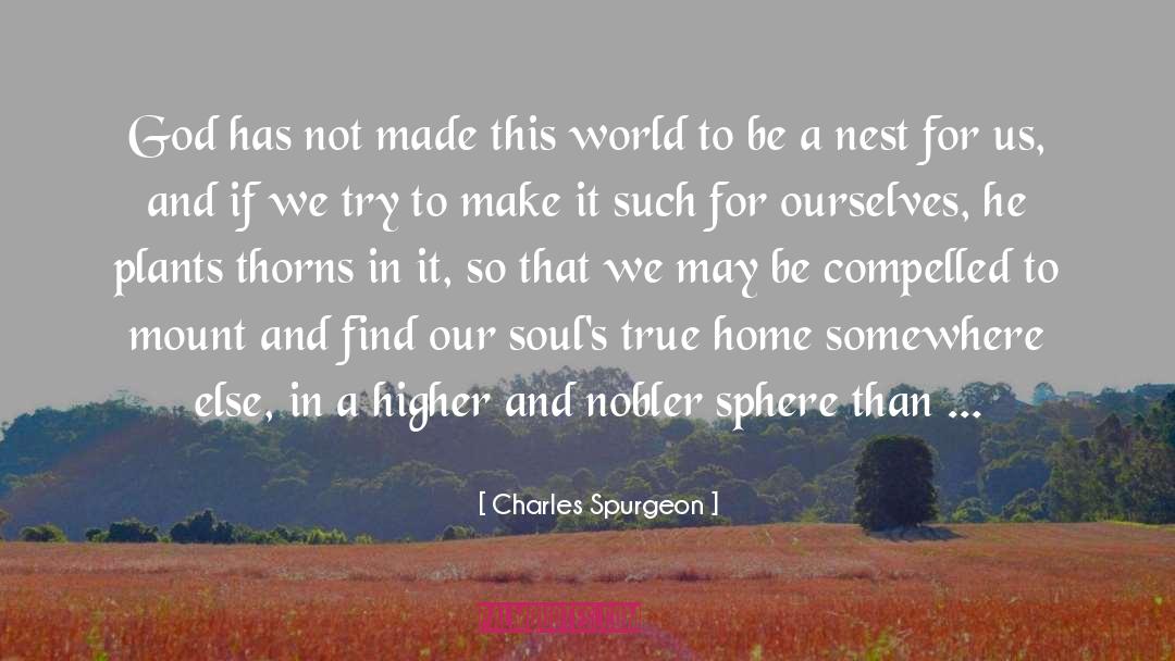 Nests quotes by Charles Spurgeon