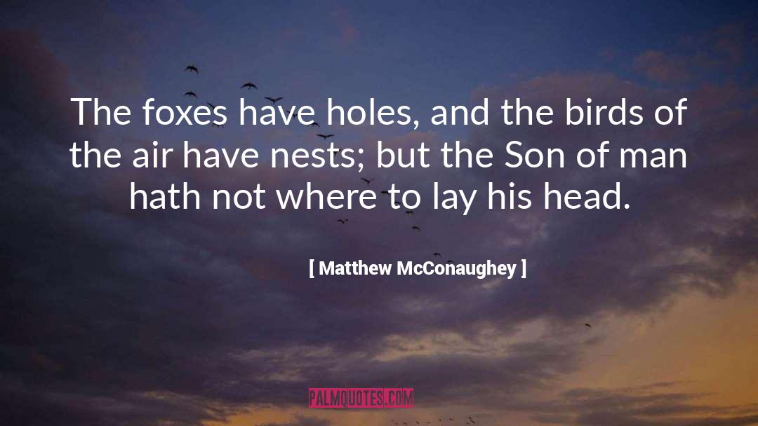 Nests quotes by Matthew McConaughey