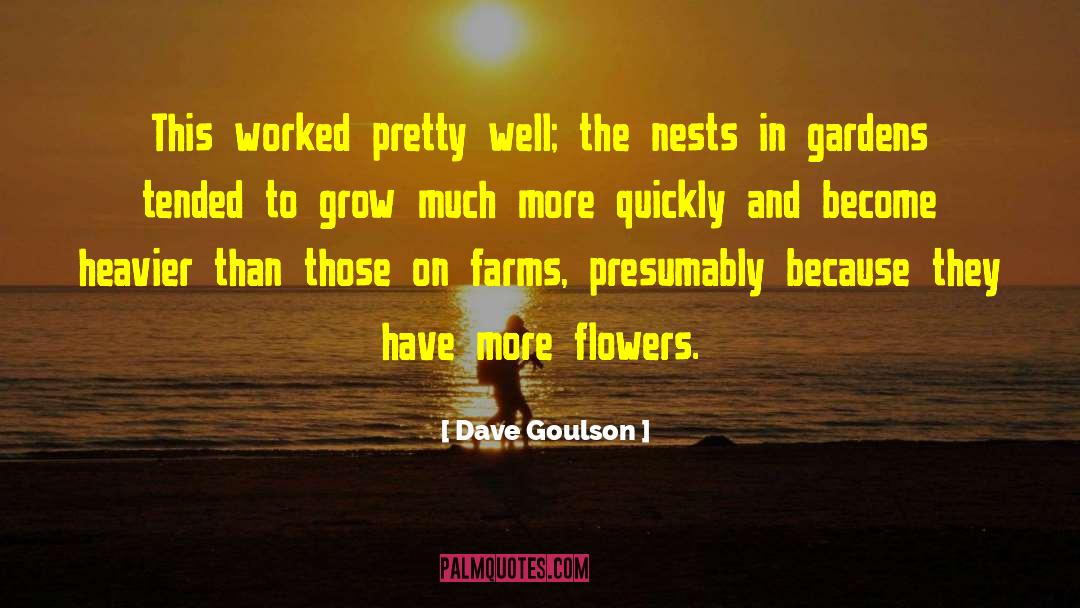 Nests quotes by Dave Goulson