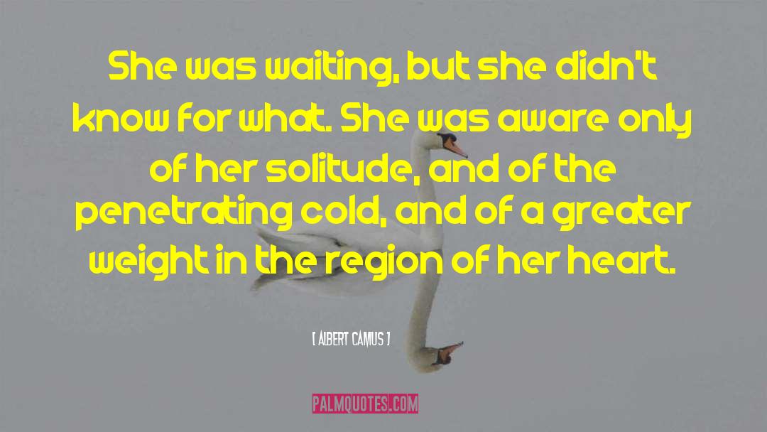 Nether Regions quotes by Albert Camus