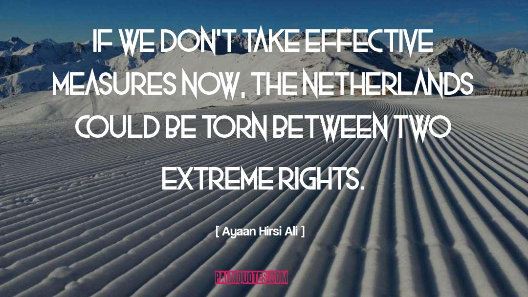 Netherlands quotes by Ayaan Hirsi Ali