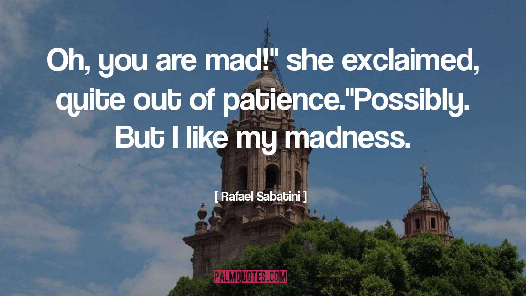 Netherling Madness quotes by Rafael Sabatini