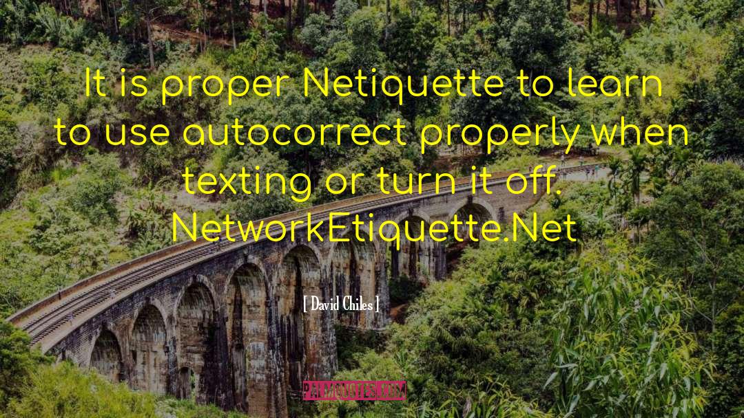 Netiquette quotes by David Chiles