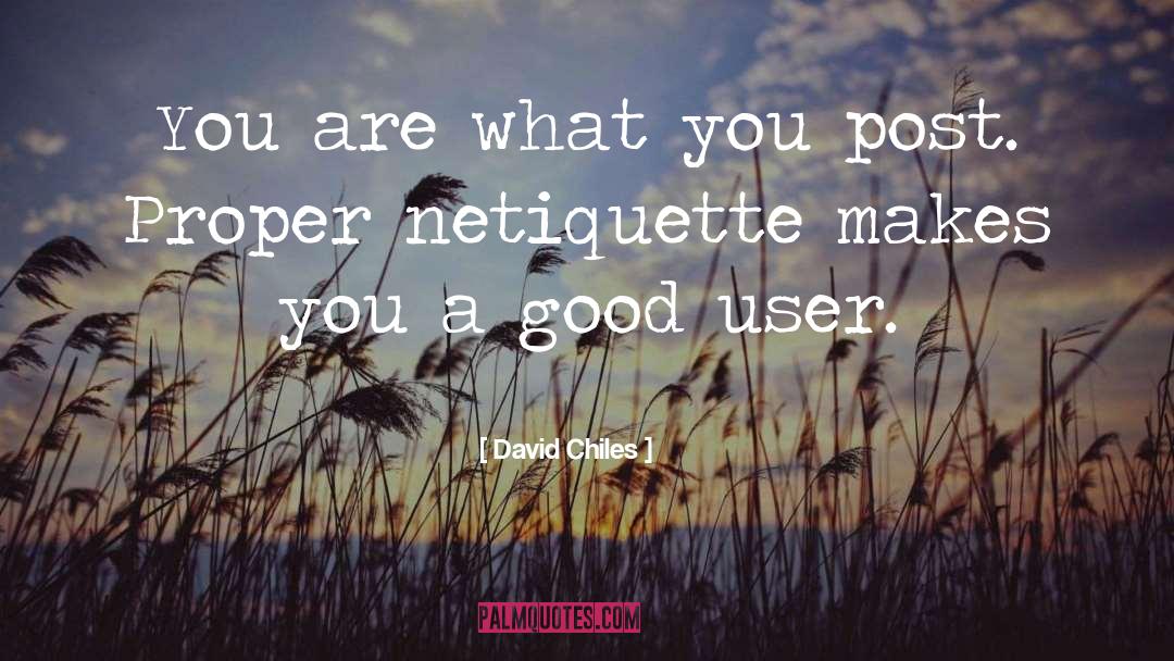 Netiquette quotes by David Chiles