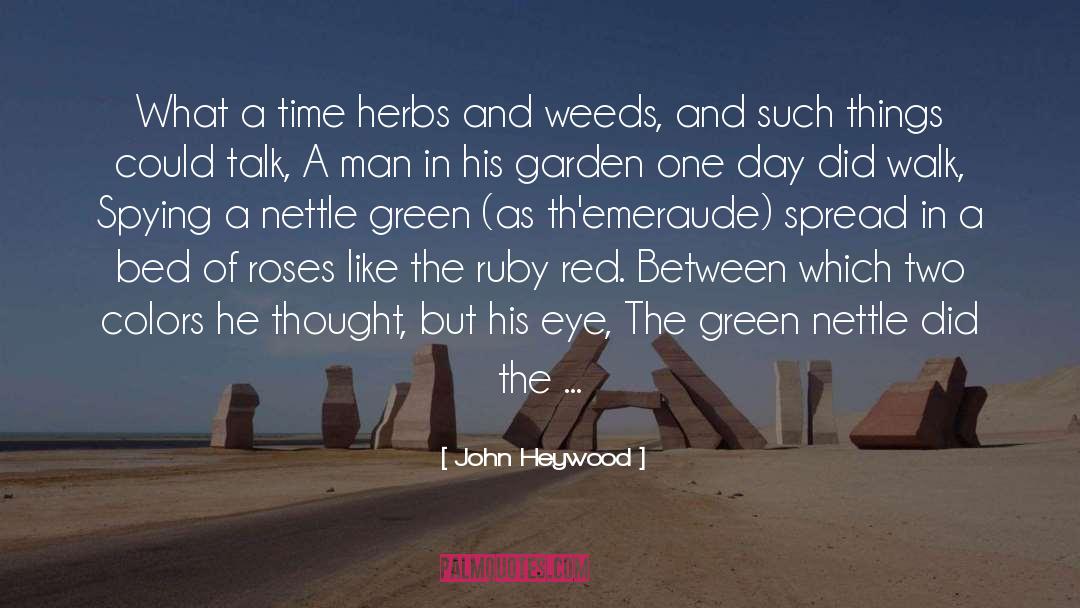Nettle quotes by John Heywood