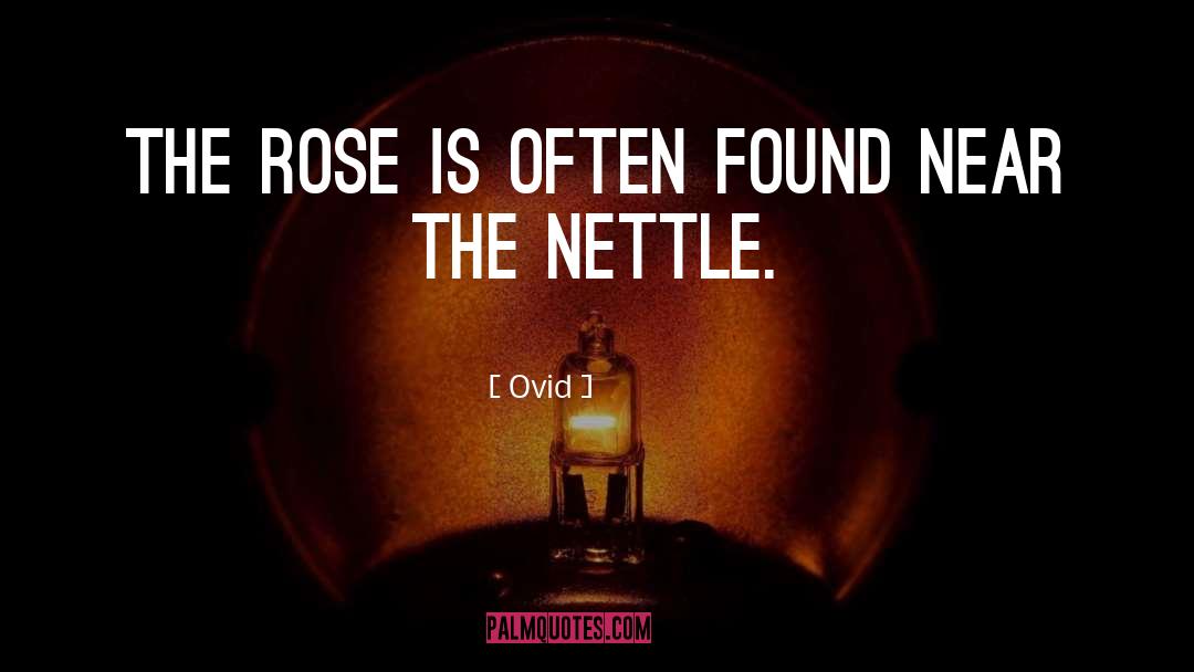 Nettles quotes by Ovid