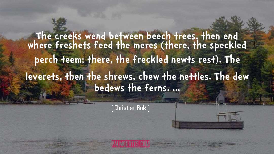 Nettles quotes by Christian Bök
