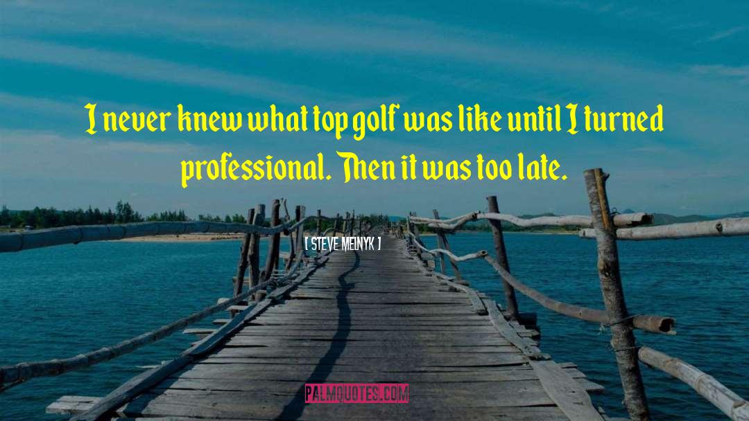 Network Golf quotes by Steve Melnyk