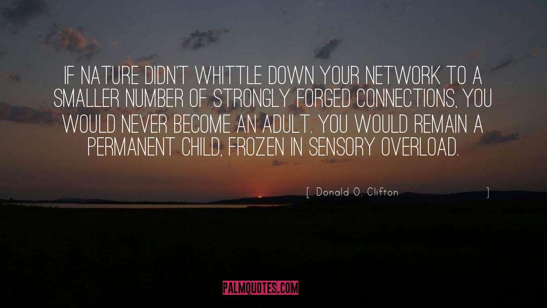 Network quotes by Donald O. Clifton